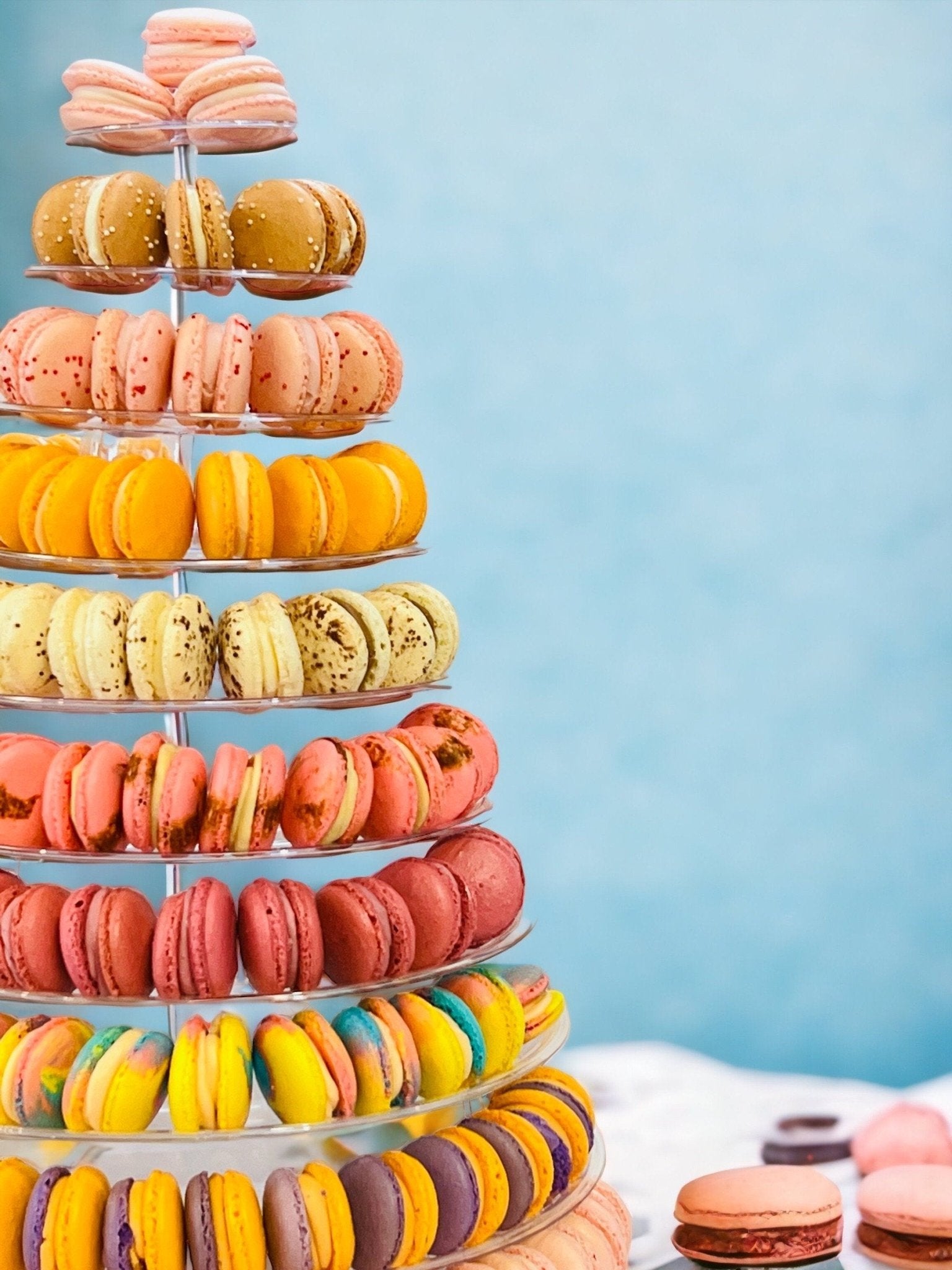 10 Tier Macaron Tower with Protective Case | Adjustable and Reusable - Macaron Centrale