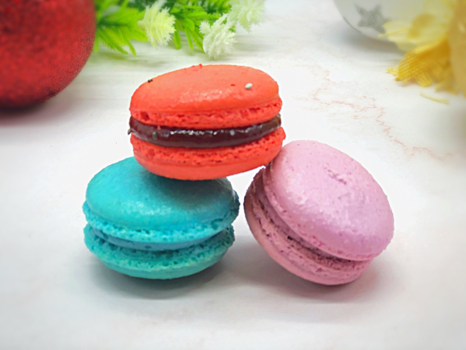 12 Pack Box - Subscription - Macaron Centrale