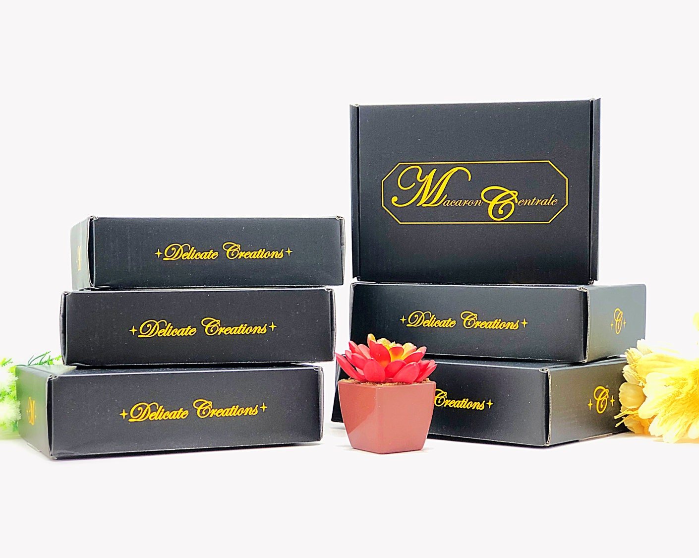 12 Pack Box - Subscription - Macaron Centrale