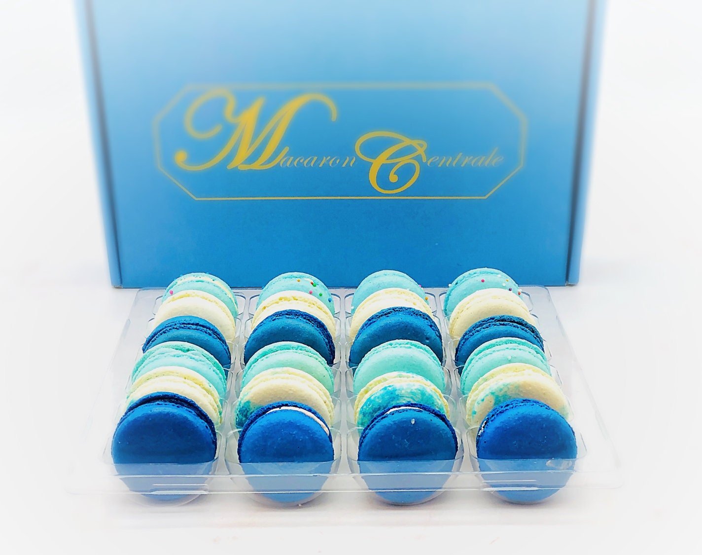 24 Pack Assorted Macaron, The Blue Set | Great for any party, celebration. - Macaron Centrale