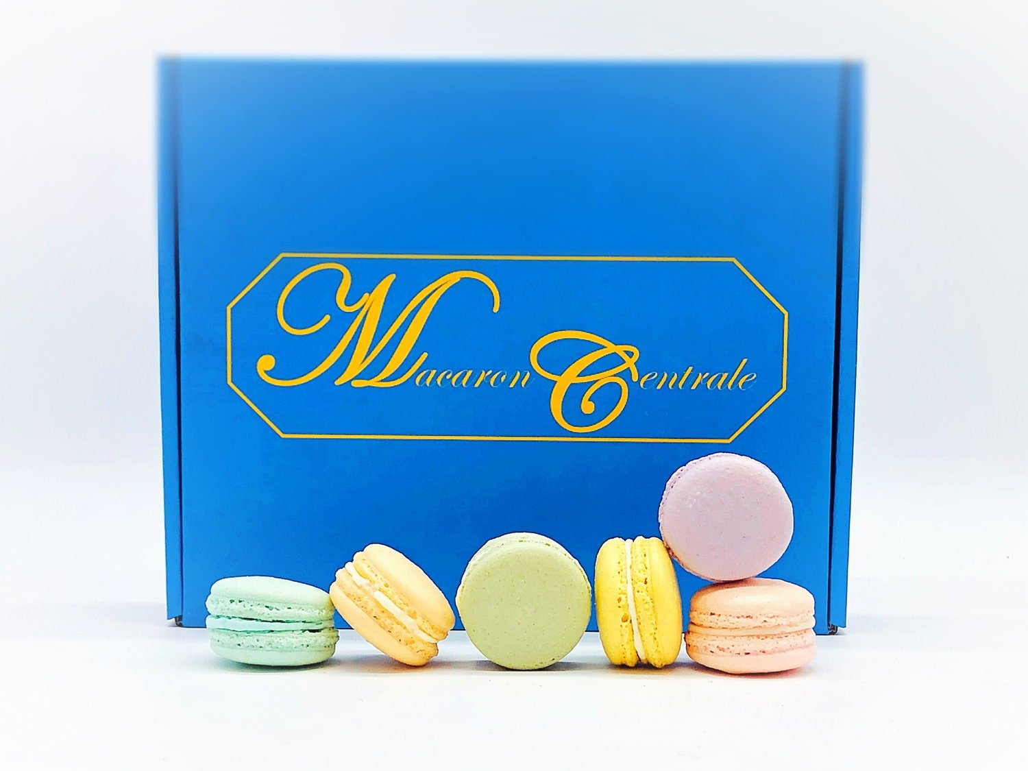 24 Pack Assorted Macaron, The Pastel Set | Great for any party, celebration. - Macaron Centrale