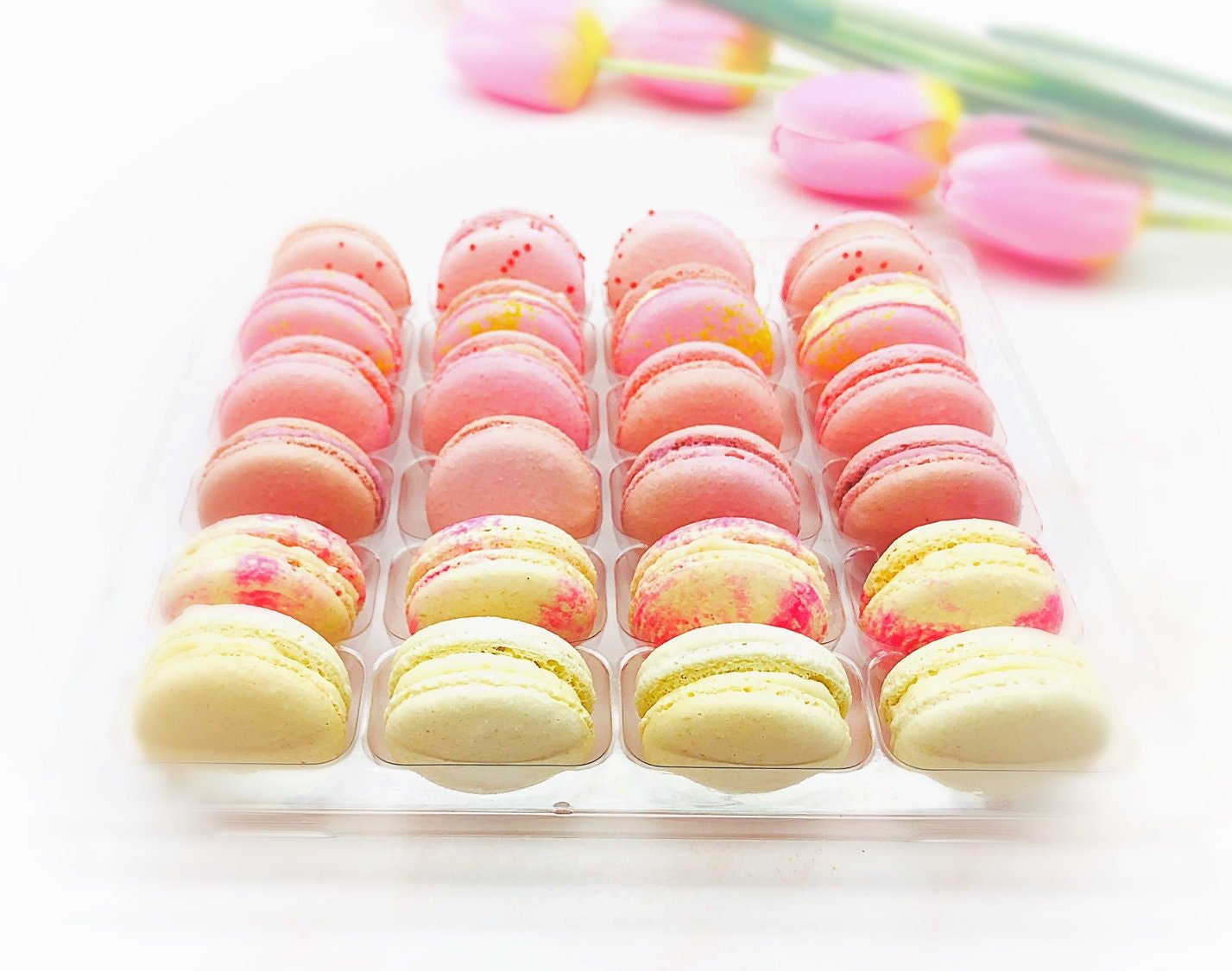 24 Pack Assorted Macaron, The Pink Set | Great for any party, celebration. - Macaron Centrale