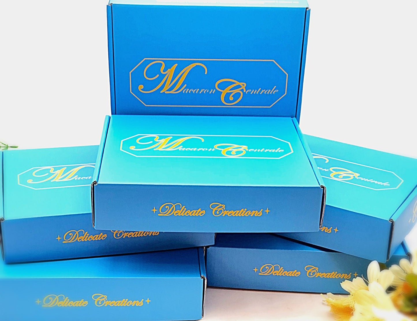 24 Pack Box - Subscription - Macaron Centrale