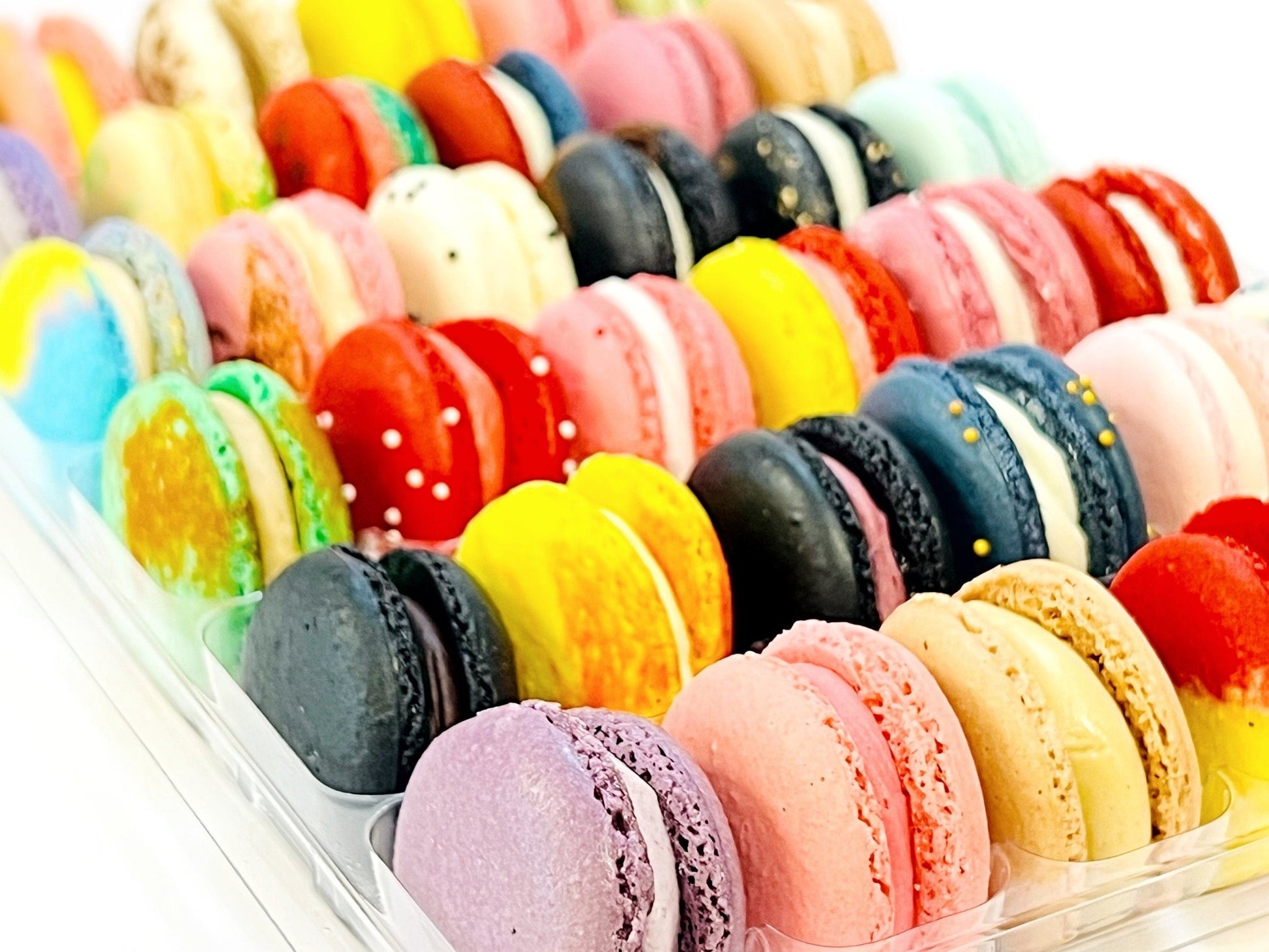 36 Pack | Surprise Me! French Macaron - Macaron CentraleSale