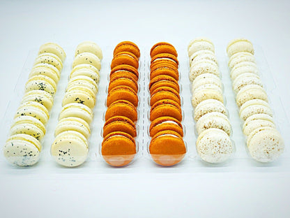 48 Pack Pumpkin Spice Collection | Perfect for Halloween Party - Macaron Centrale48 Pack