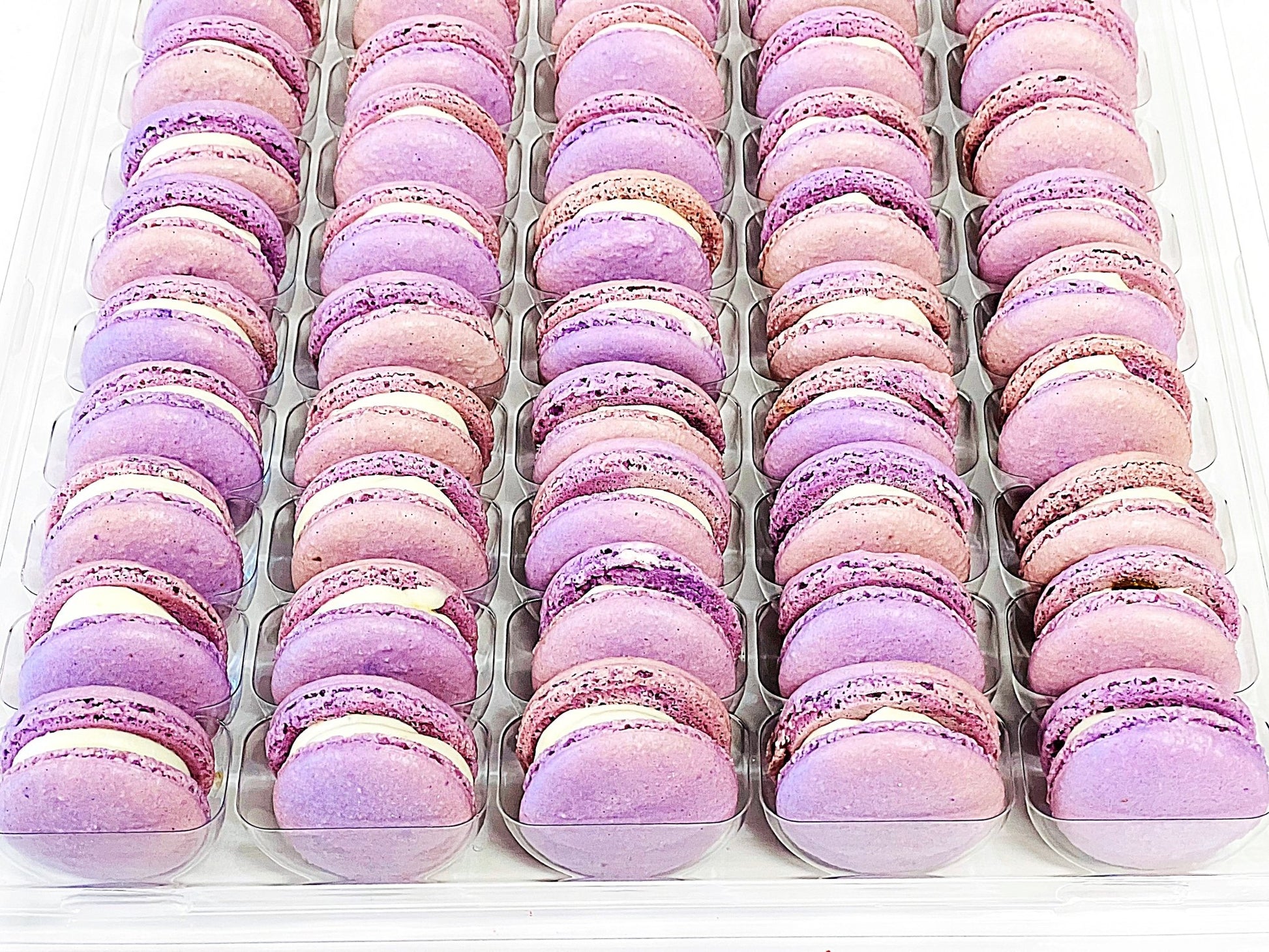 50 Pack Honey Lavender Value Pack French Macarons - Macaron Centrale