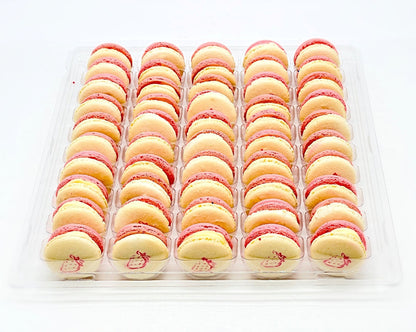 50 Pack Strawberry Sundae French Macaron Value Pack - Macaron Centrale