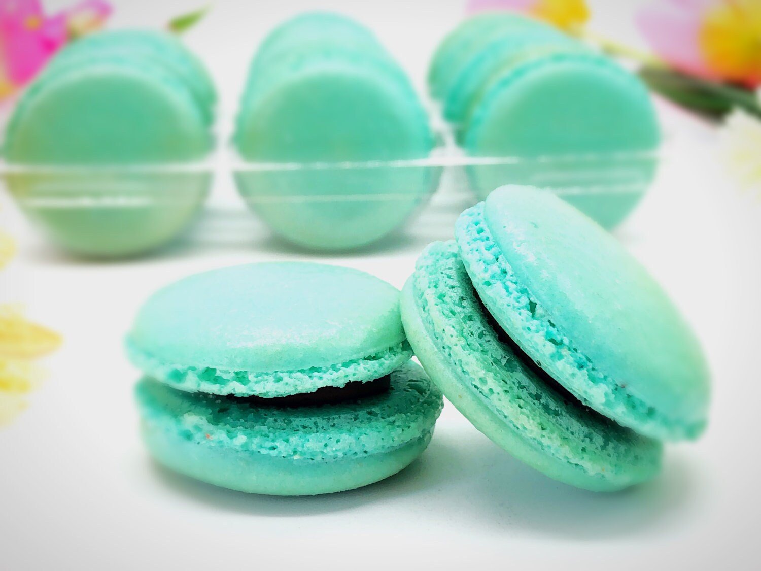 6 Pack Assorted Macarons | Chocolate Raspberry, Mint Chocolate, Blueberry Cheesecake Macarons - Macaron Centrale