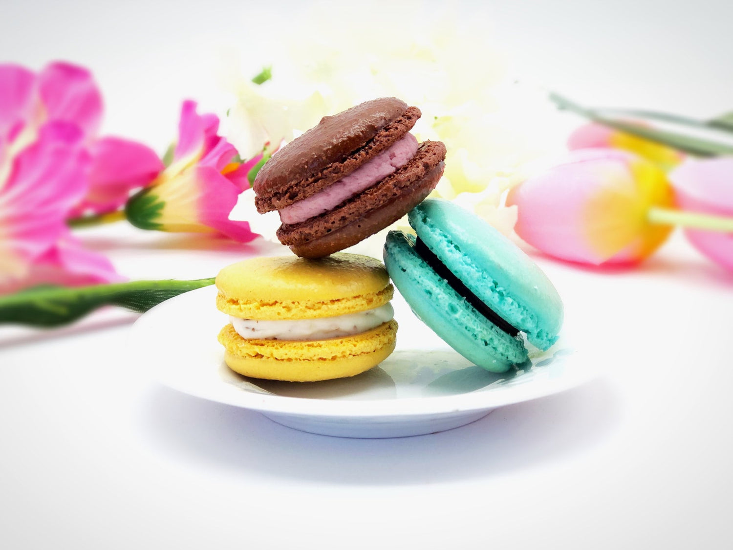 6 Pack Assorted Macarons | Chocolate Raspberry, Mint Chocolate, Blueberry Cheesecake Macarons - Macaron Centrale