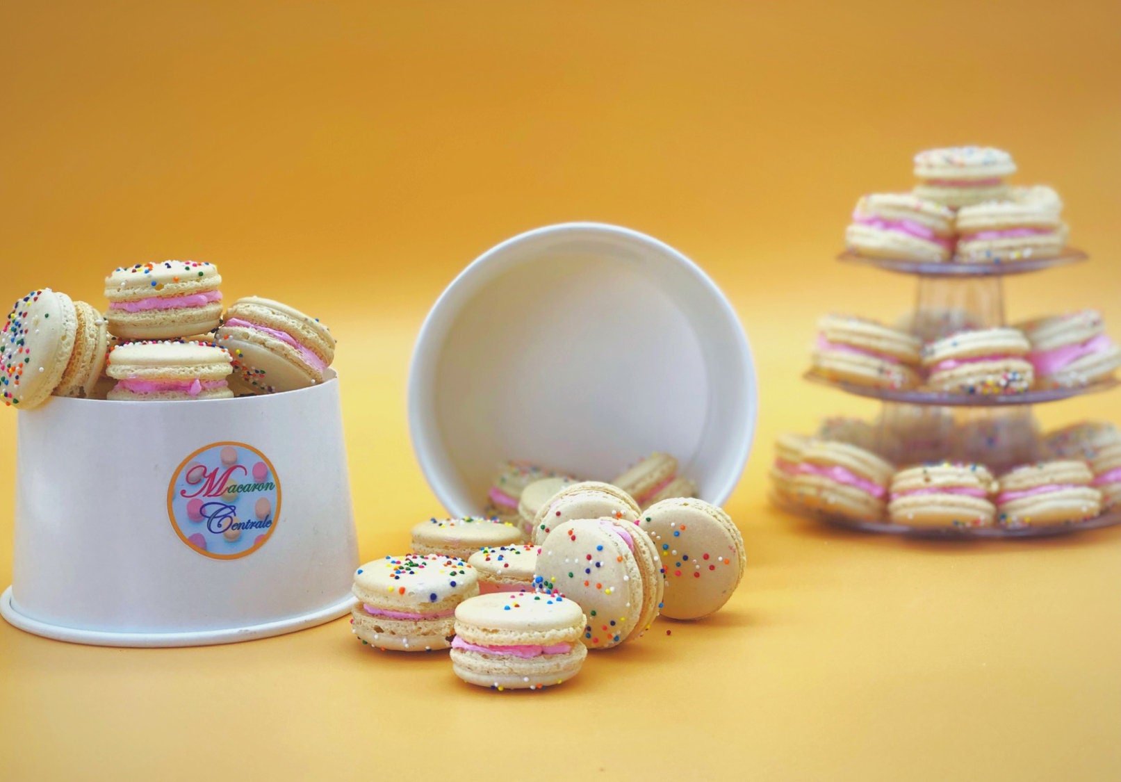 6 Pack birthday cake macarons | ideal for celebratory events. - Macaron Centrale