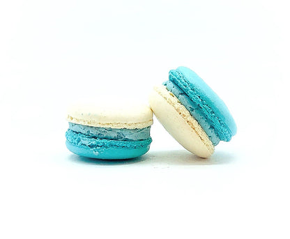 6 Pack Blueberry White Chocolate Ganache Macarons - Macaron Centrale