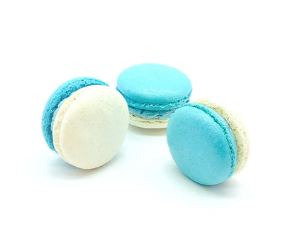 6 Pack Blueberry White Chocolate Ganache Macarons - Macaron Centrale