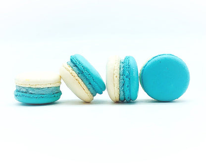 6 Pack Blueberry White Chocolate Ganache Macarons - Macaron Centrale