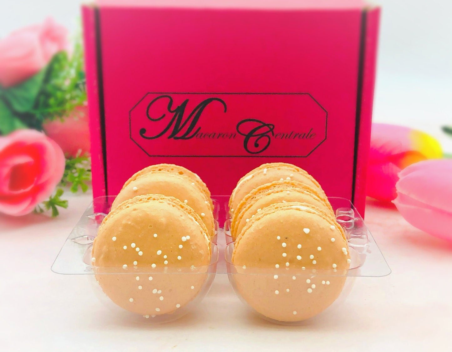 6 Pack French Macarons | S'more Ideal for your new celebratory events. - Macaron Centrale