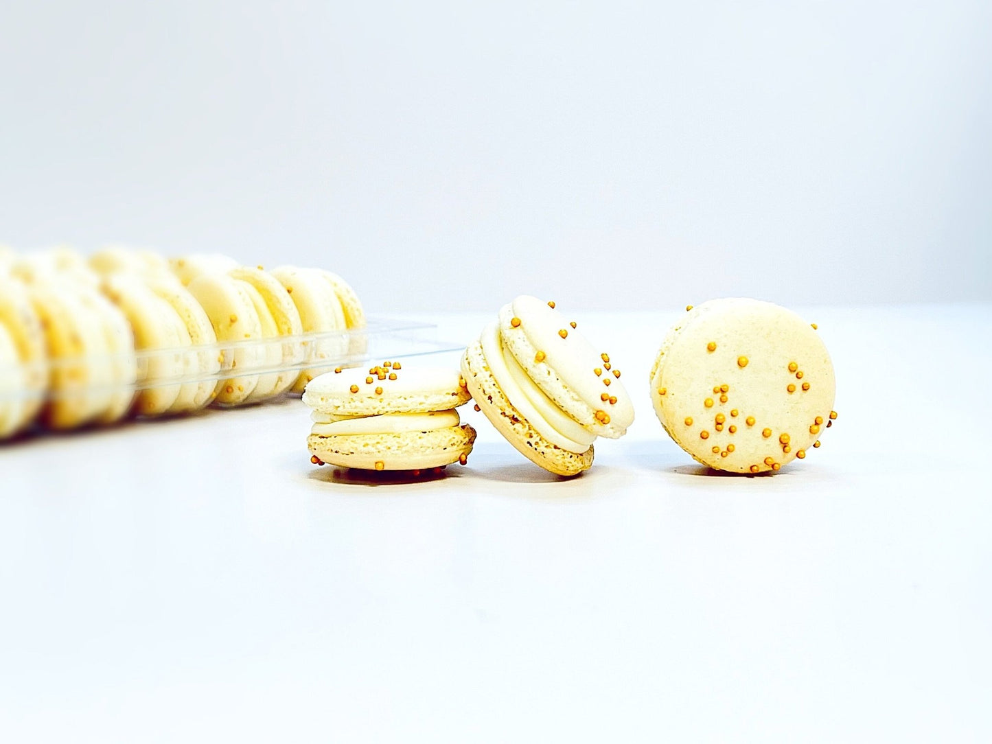 6 Pack Gourmet Vanilla Macarons - Macaron Centrale