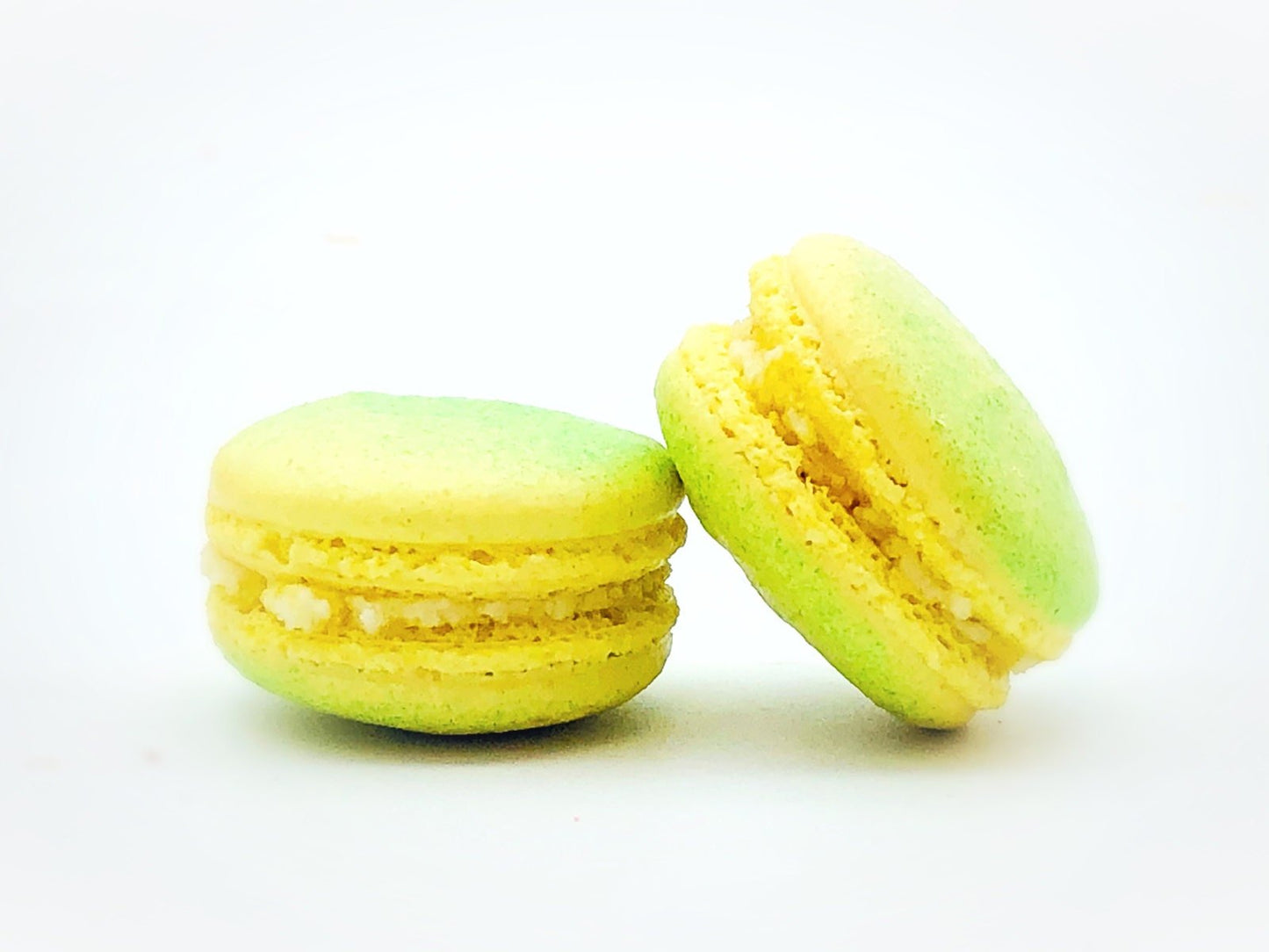6 Pack jackfruit macarons | ideal for celebratory events. - Macaron Centrale