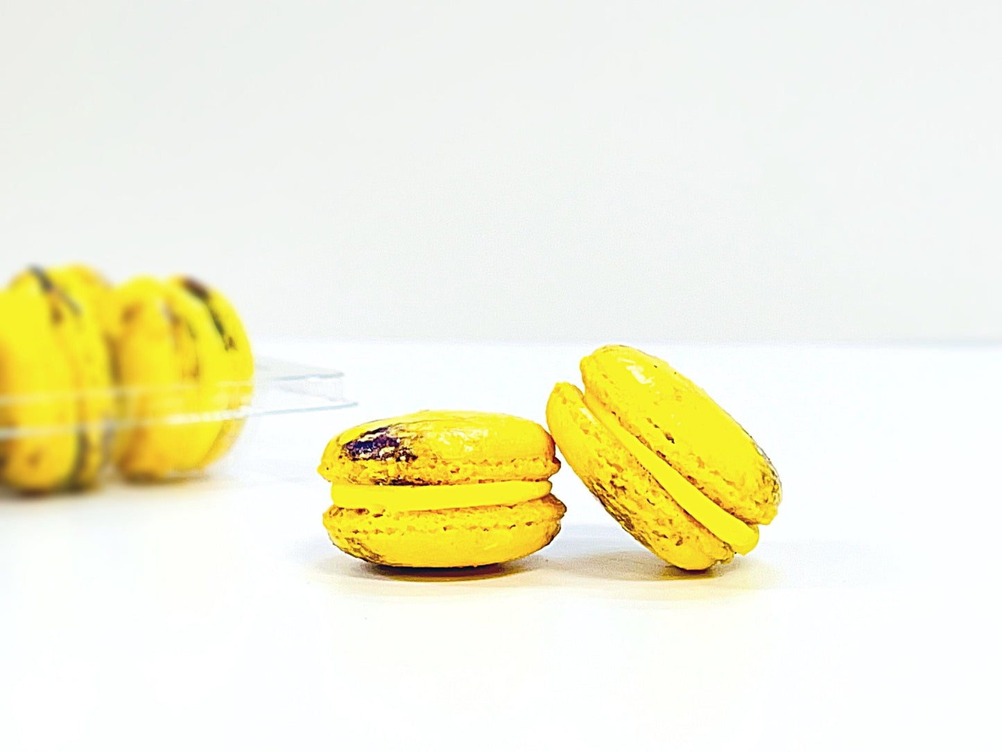 6 Pack lemon blackberry macarons | ideal for celebratory events. - Macaron Centrale