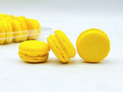 6 Pack lemon macarons - Macaron Centrale