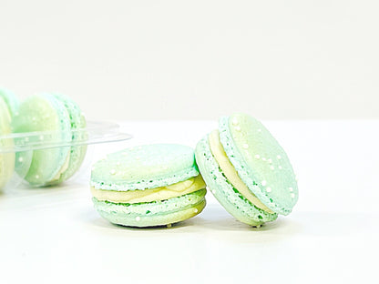 6 Pack Peppermint & Blueberry French Macarons - Macaron Centrale