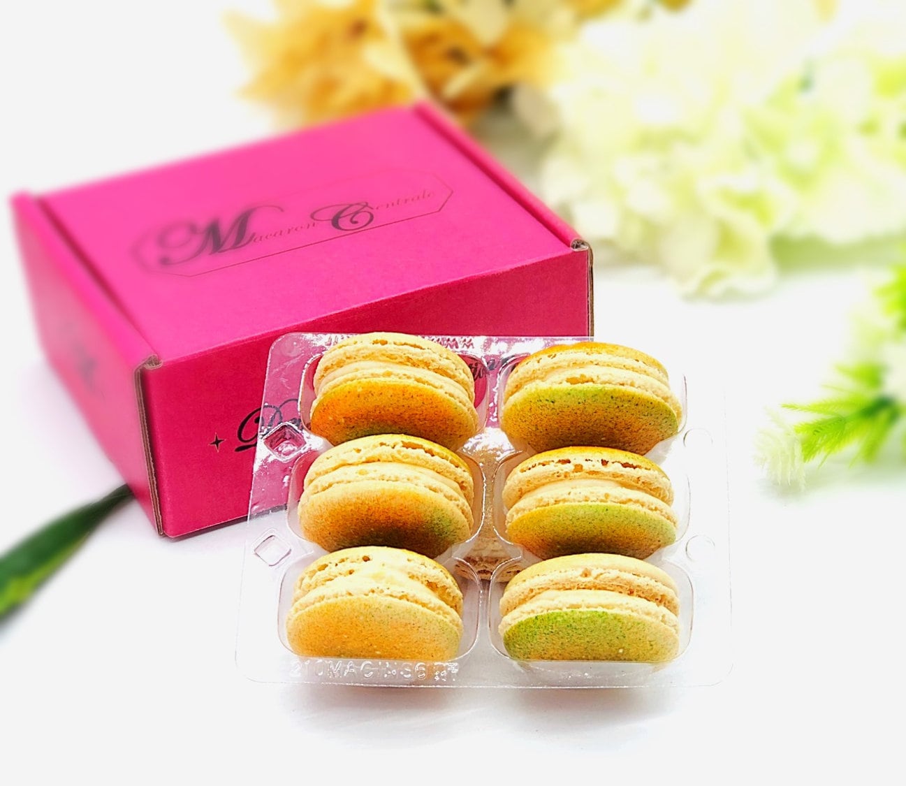 6 Pack pineapple apricot macarons - Macaron Centrale