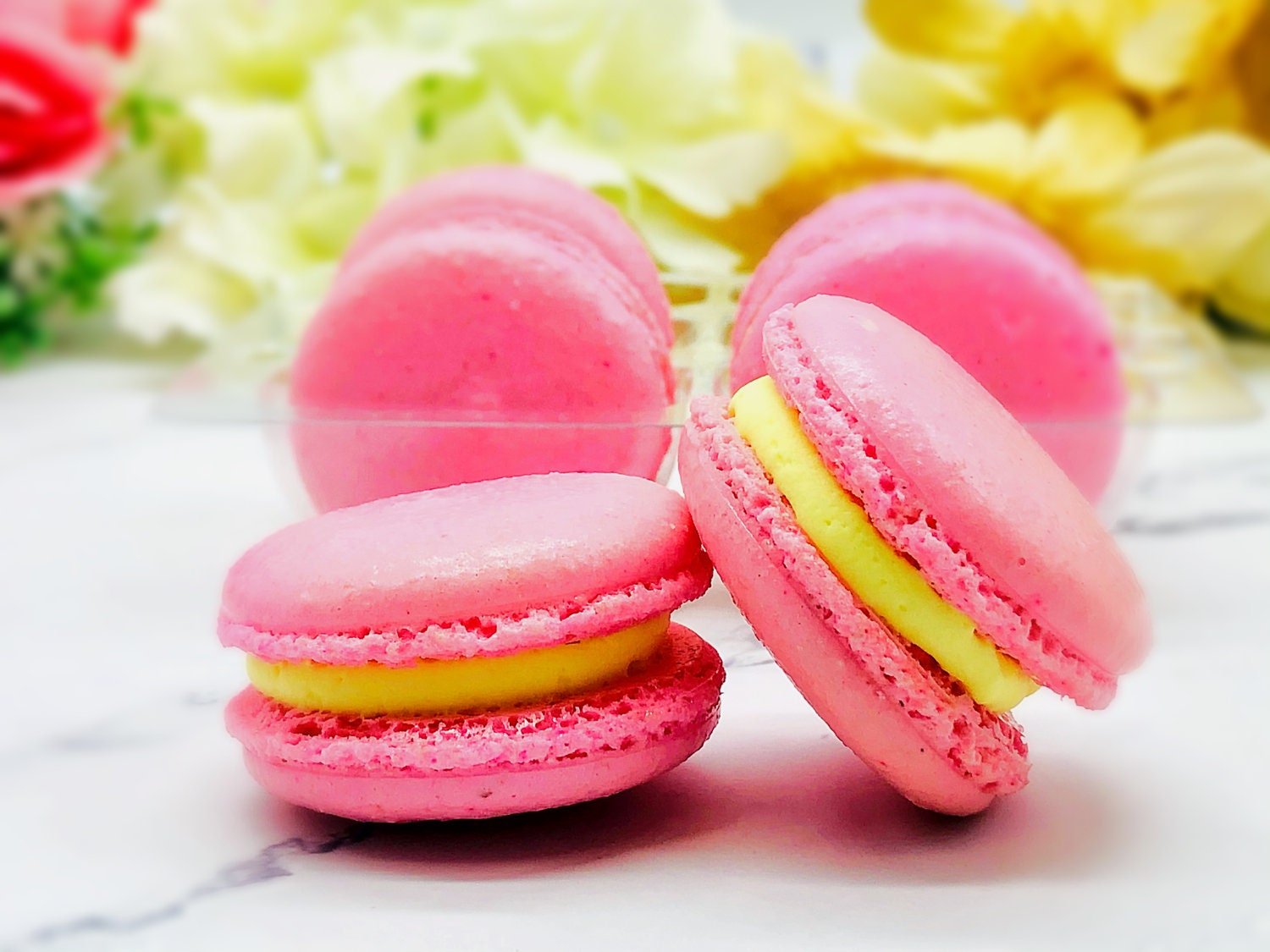 6 Pack pink lemonade macarons - Macaron Centrale