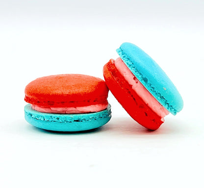 6 Pack Straw - Blueberry Macarons - Macaron Centrale