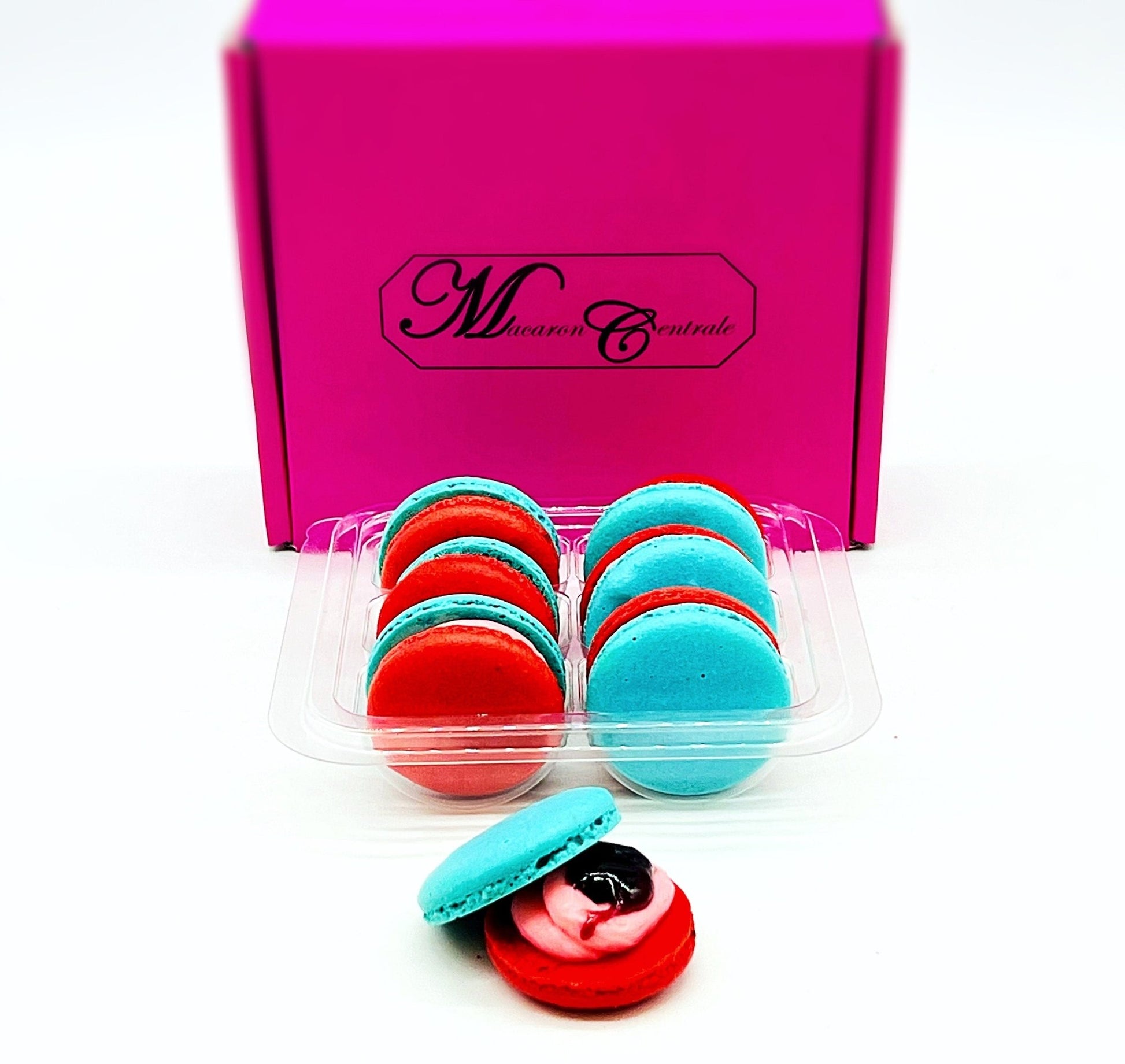 6 Pack Straw - Blueberry Macarons - Macaron Centrale