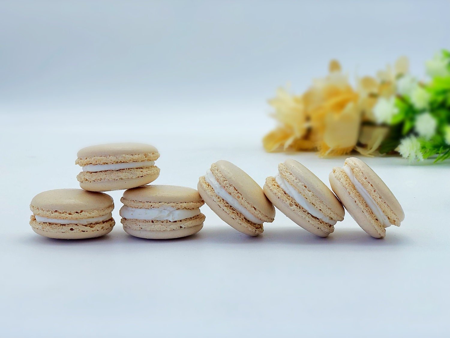 6 Pack vanilla French macarons - Macaron Centrale