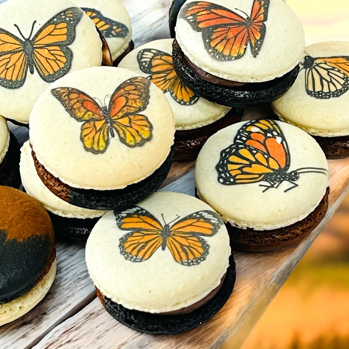 Monarch Butterfly French Macaron Set - Customizable Flavors