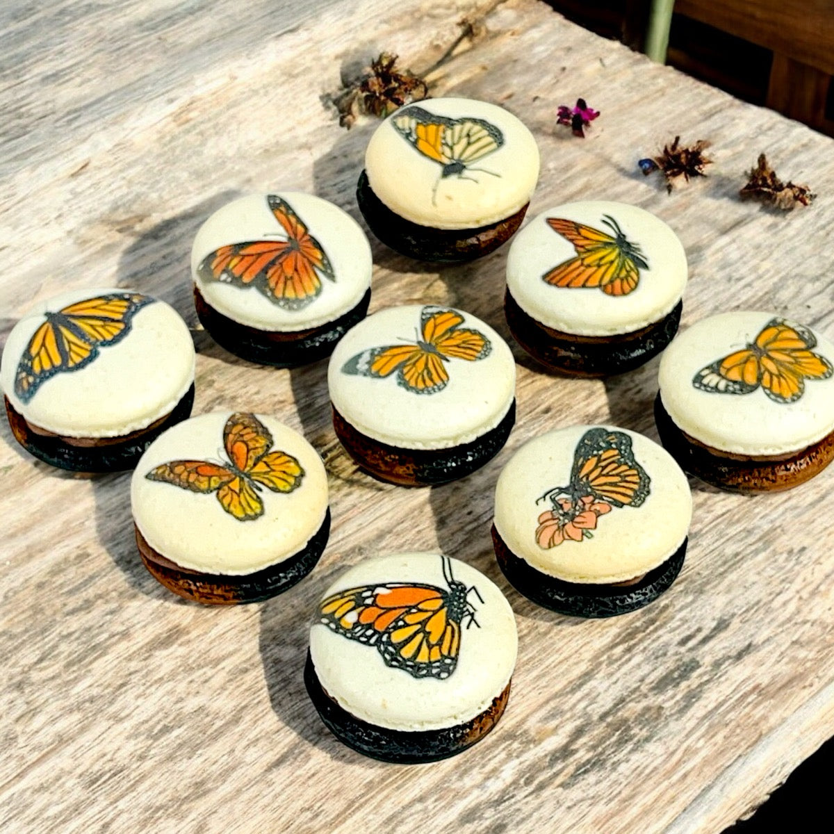 Monarch Butterfly French Macaron Set - Customizable Flavors