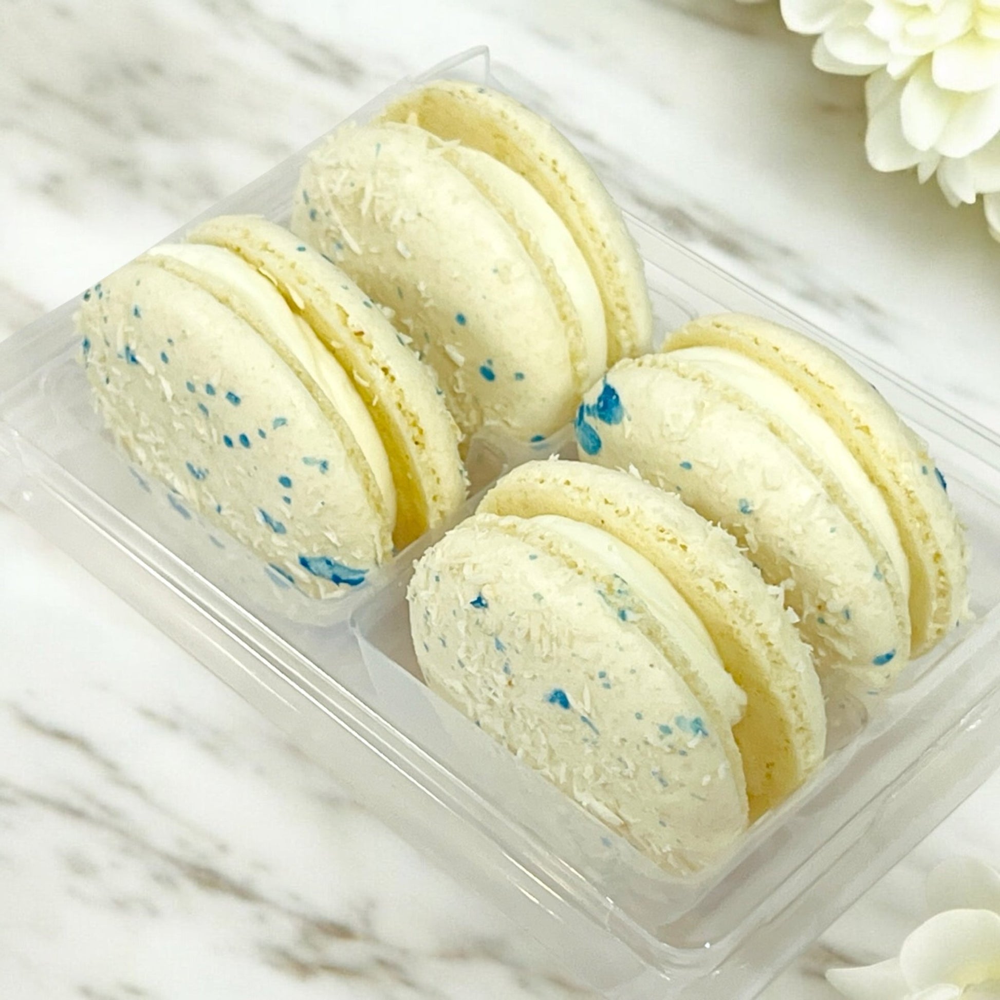 All Natural Creamy Coconut Vegan French Macarons | Available in 24 & 48 Pack - Macaron Centrale24 Pack