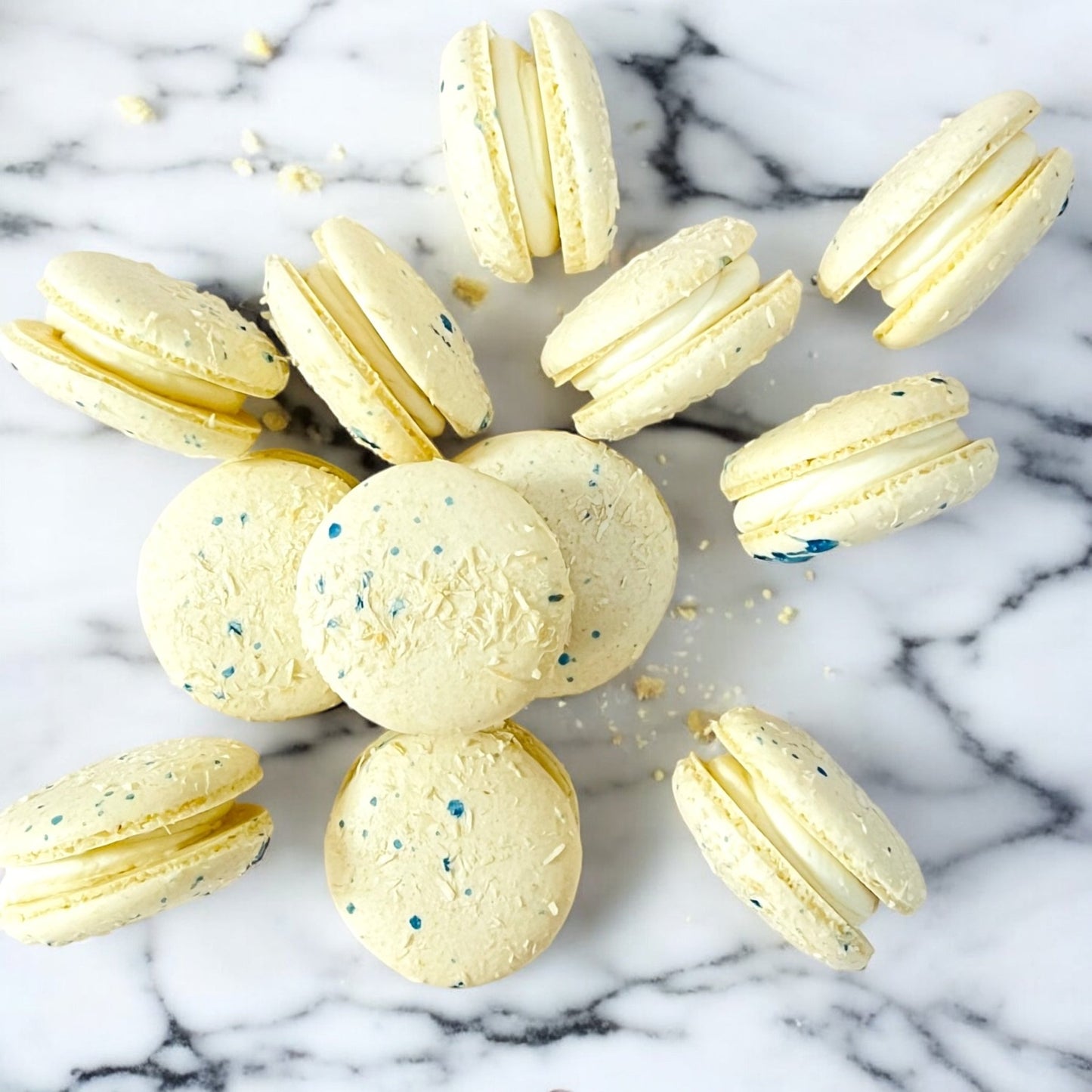 All Natural Creamy Coconut Vegan French Macarons | Available in 24 & 48 Pack - Macaron Centrale24 Pack