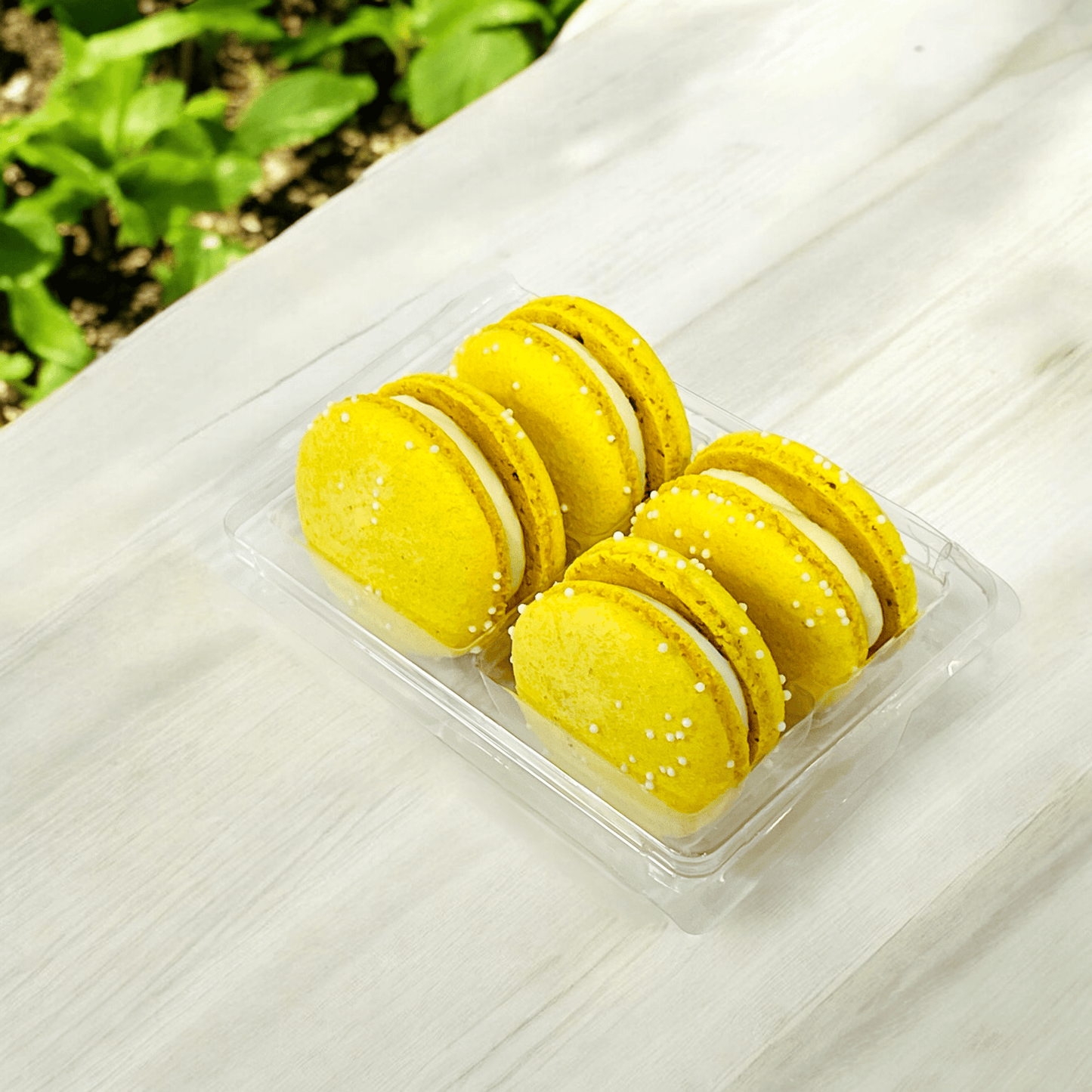 All Natural Creamy Pineapple Vegan French Macarons | Available in 24 & 48 Pack - Macaron Centrale24 Pack