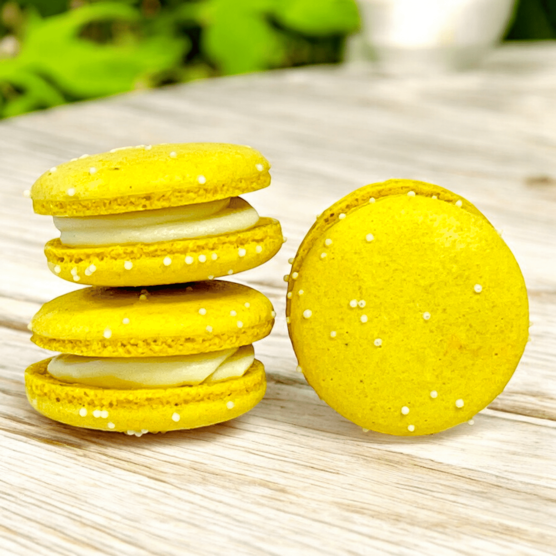 All Natural Creamy Pineapple Vegan French Macarons | Available in 24 & 48 Pack - Macaron Centrale24 Pack