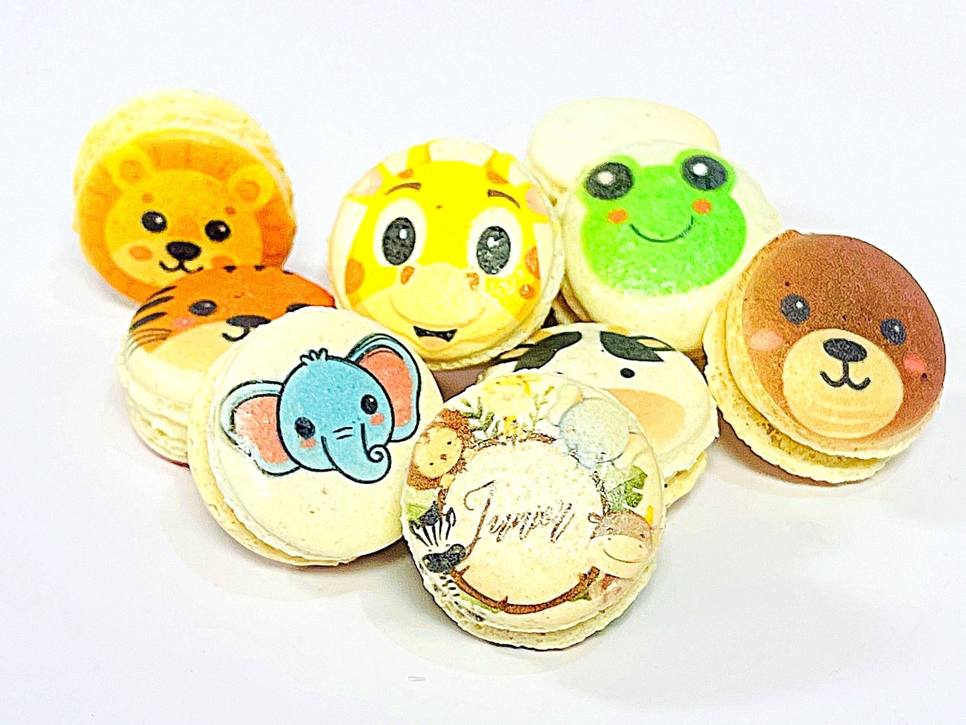 Animal Faces Macaron: Personalized Flavor for Your Special Occasion - Macaron Centrale6 Pack