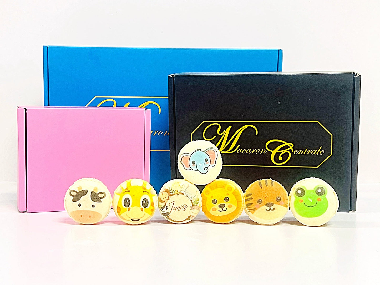 Animal Faces Macaron: Personalized Flavor for Your Special Occasion - Macaron Centrale6 Pack