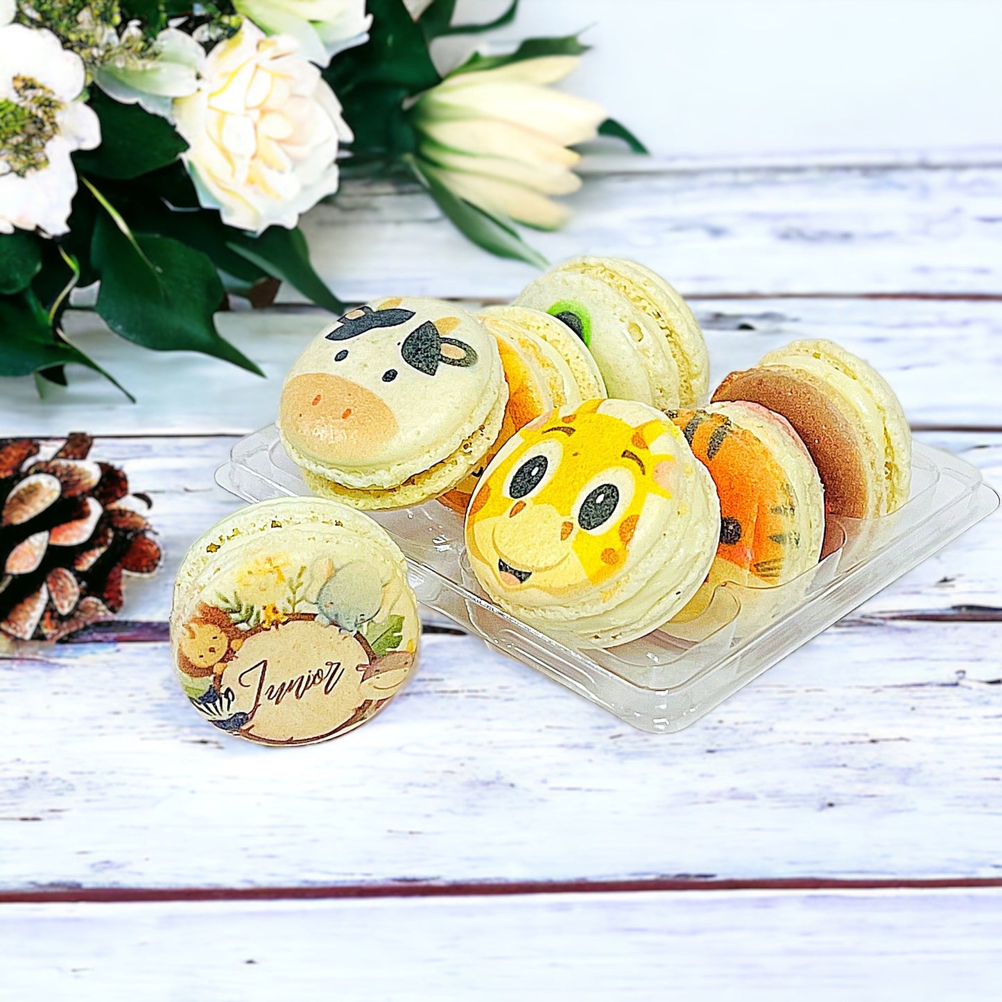 Animal Faces Macaron: Personalized Flavor for Your Special Occasion - Macaron Centrale6 Pack