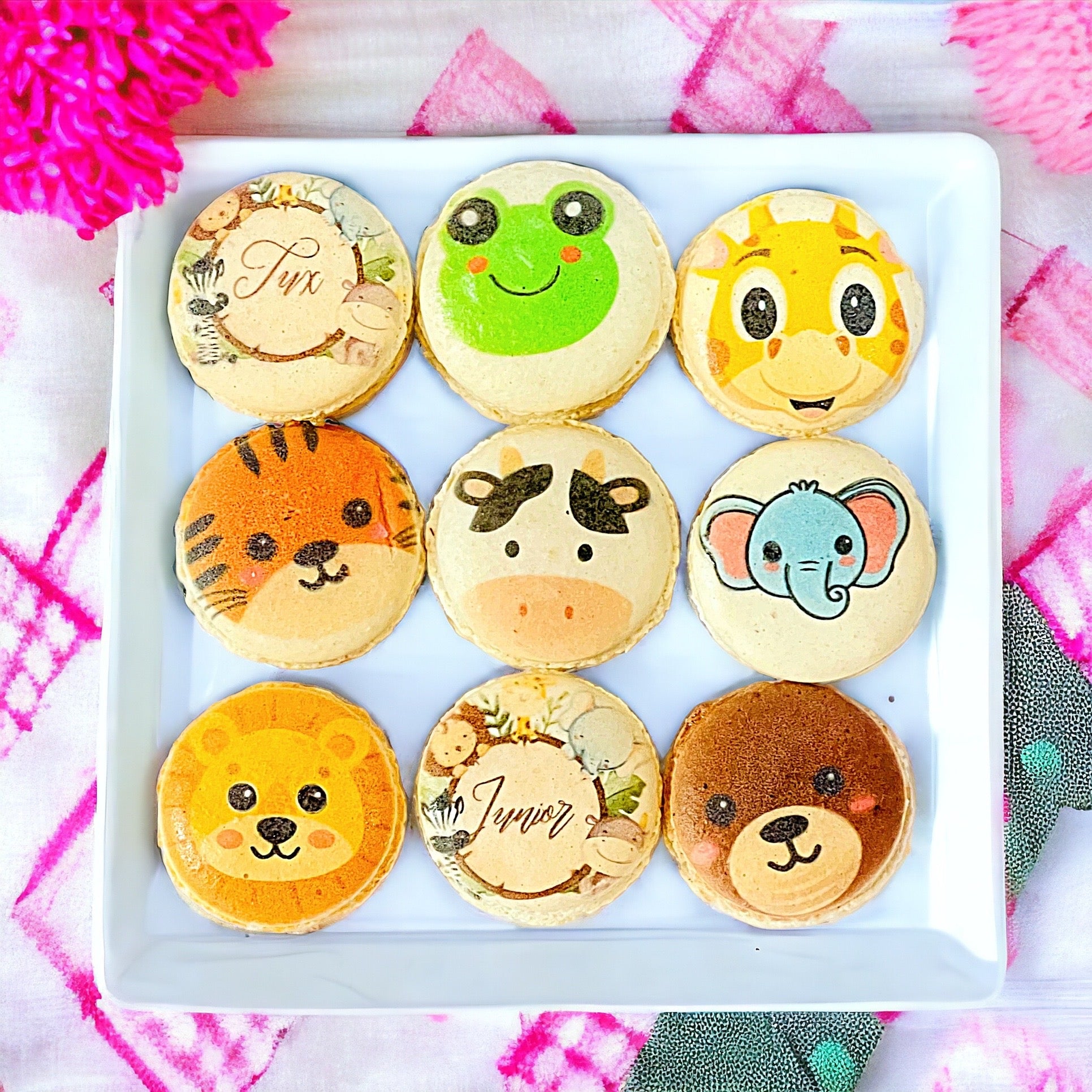 Animal Faces Macaron: Personalized Flavor for Your Special Occasion - Macaron Centrale6 Pack