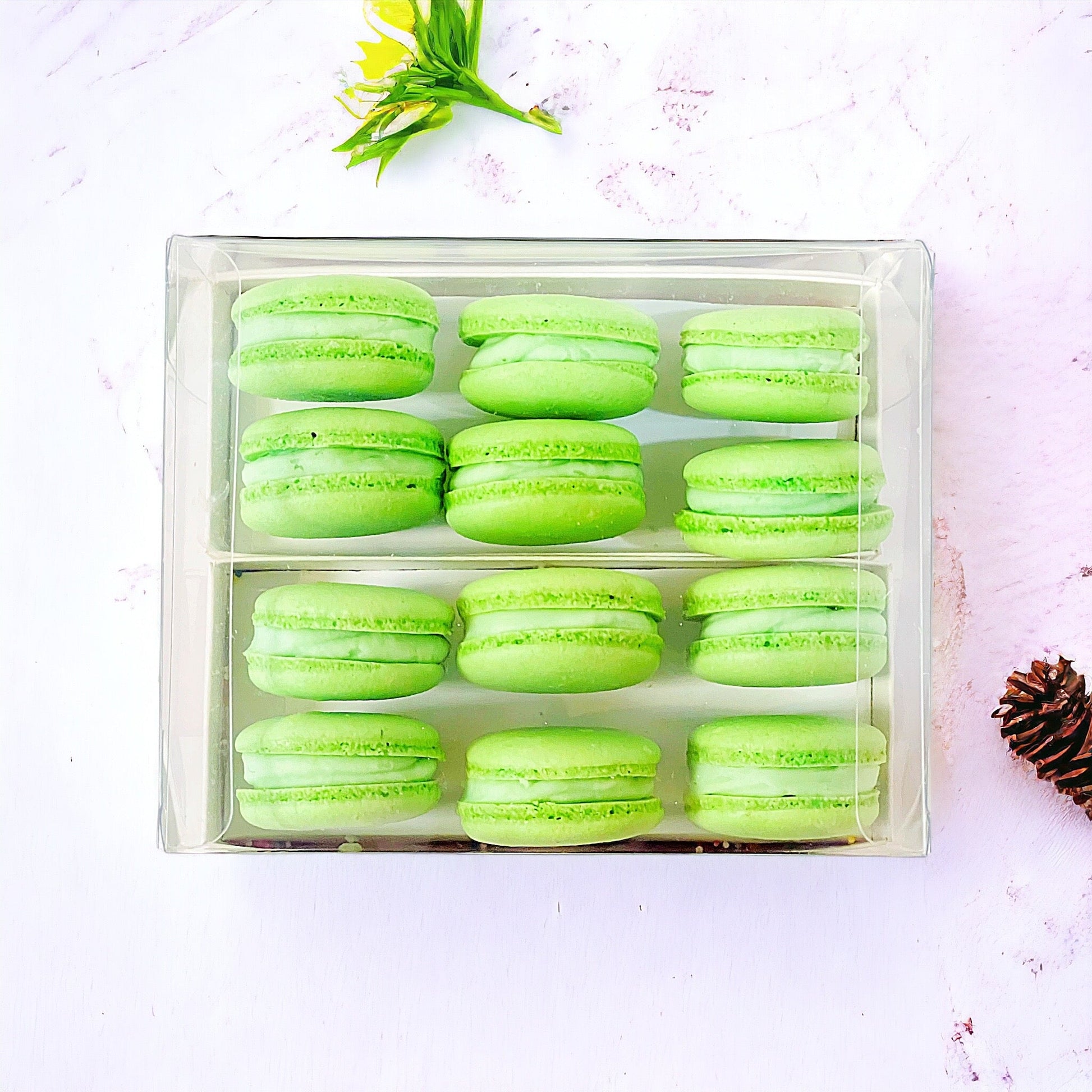 Apple Cream Macaron Sucettes En Gros | Available in 24 & 48 Sucettes - Macaron Centrale24 Pack