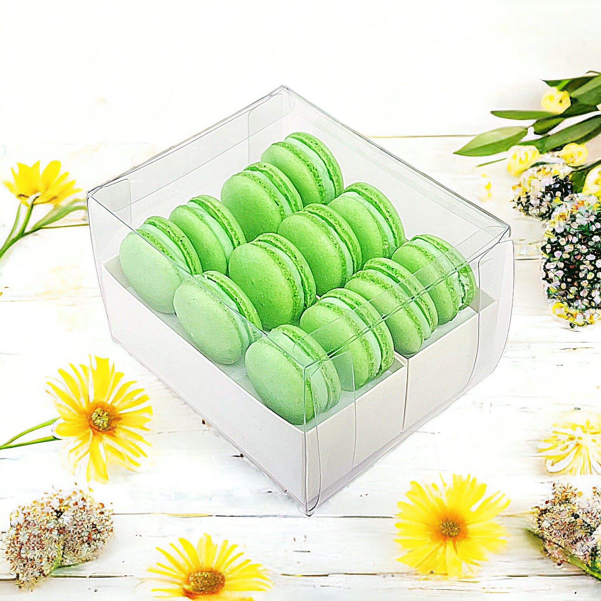 Apple Cream Macaron Sucettes En Gros | Available in 24 & 48 Sucettes - Macaron Centrale24 Pack