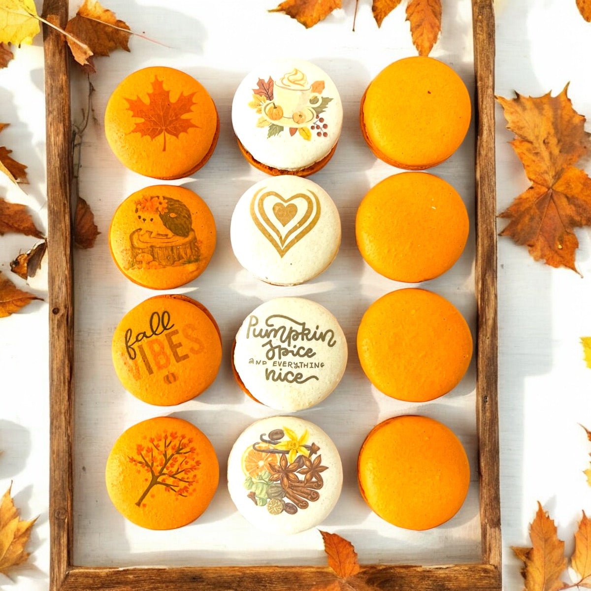 Autumn Vegan Macaron Trio – Pumpkin Spice, Maple Pumpkin, Chocolate Pumpkin Delight - Macaron Centrale12 Pack