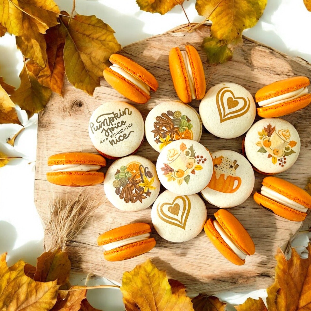 Autumn Vegan Macaron Trio – Pumpkin Spice, Maple Pumpkin, Chocolate Pumpkin Delight - Macaron Centrale12 Pack