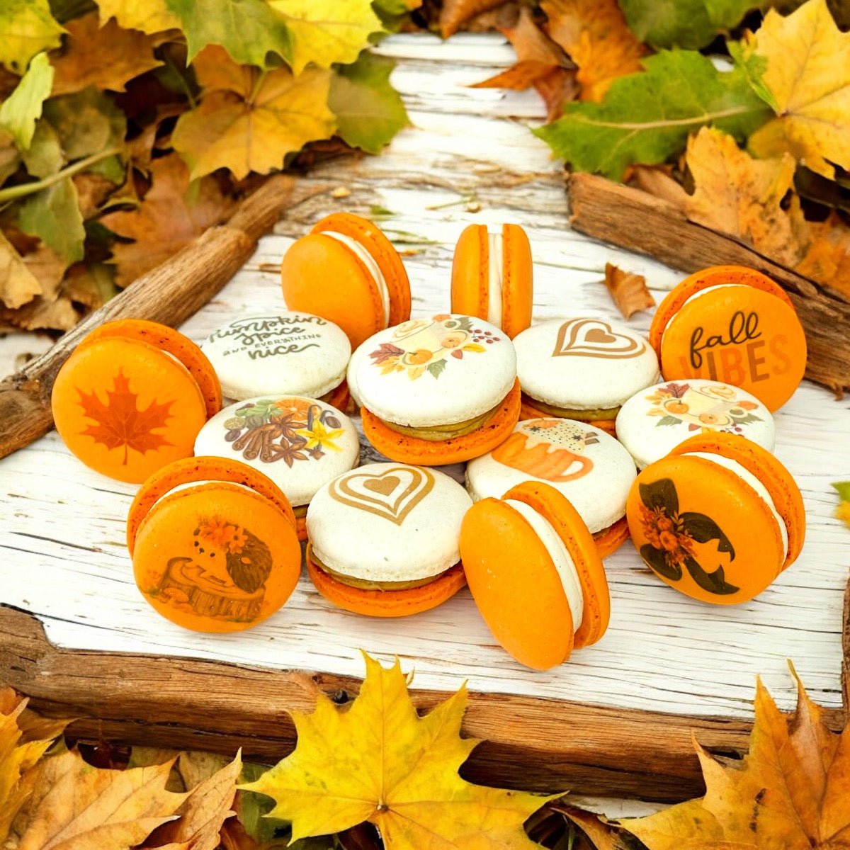 Autumn Vegan Macaron Trio – Pumpkin Spice, Maple Pumpkin, Chocolate Pumpkin Delight - Macaron Centrale12 Pack