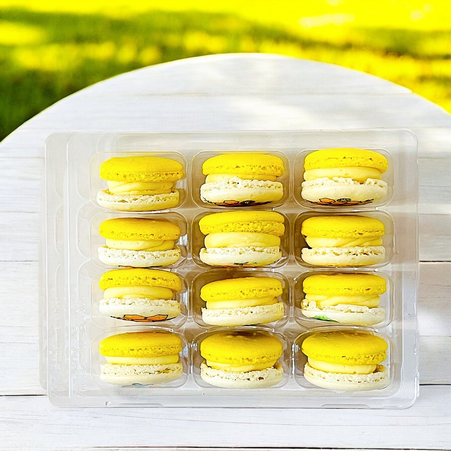 Bee and Honeycomb Custom Macarons - Choose Your Flavor - Macaron Centrale6 Pack