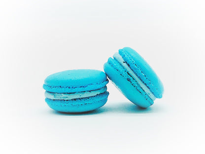 Blueberry Macarons (6 Pack) | Ideal for celebratory events. - Macaron Centrale