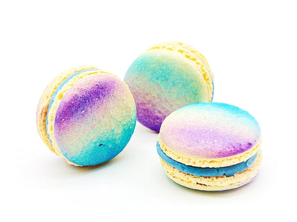 Blueberry'n Prune French Macarons | Available in 6, 12 and 24 Pack - Macaron Centrale6 Pack