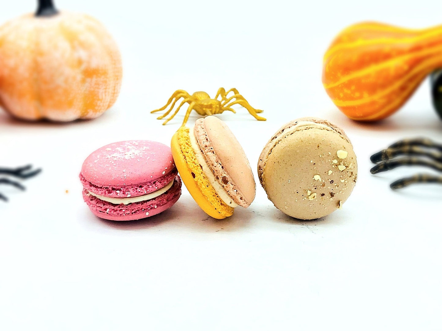 Boo! 6 French Macaron Value Pack | Cranberry Sauce, Chai Latte, Chocolate Hazelnut Buttercream Macarons - Macaron Centrale