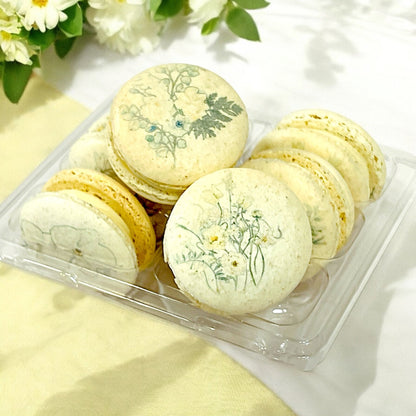 Botanical French Macaron Set: Customizable Delights in Packs of 6, 12, or 24 - Macaron Centrale6 Pack