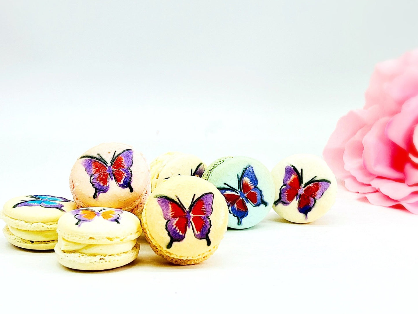 Butterfly French Macarons | Available in 6 , 12 & 24 Pack - Macaron CentraleVanilla6 Pack