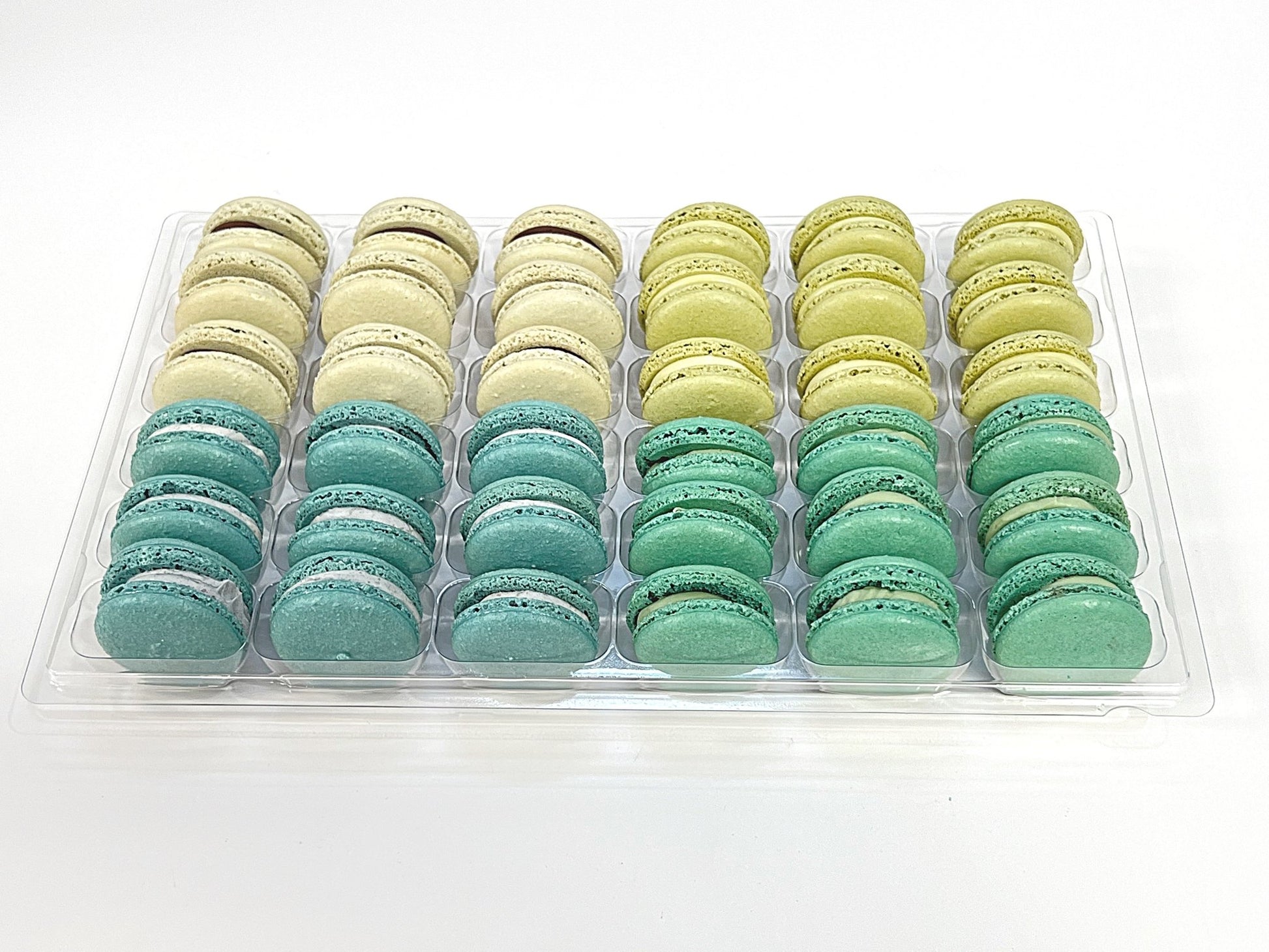 Coastal Vibe: A Flavorful Quartet of French Macarons in One Set | 36 Pack - Macaron Centrale